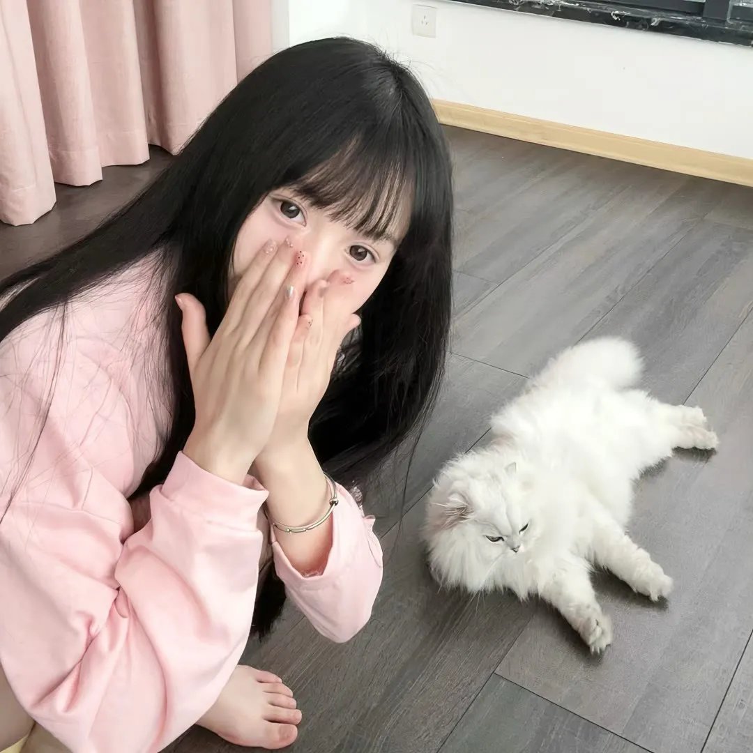 乌龙歼敌记