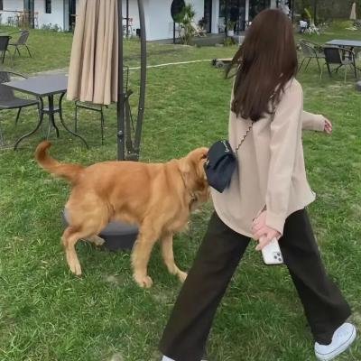副总统第二季